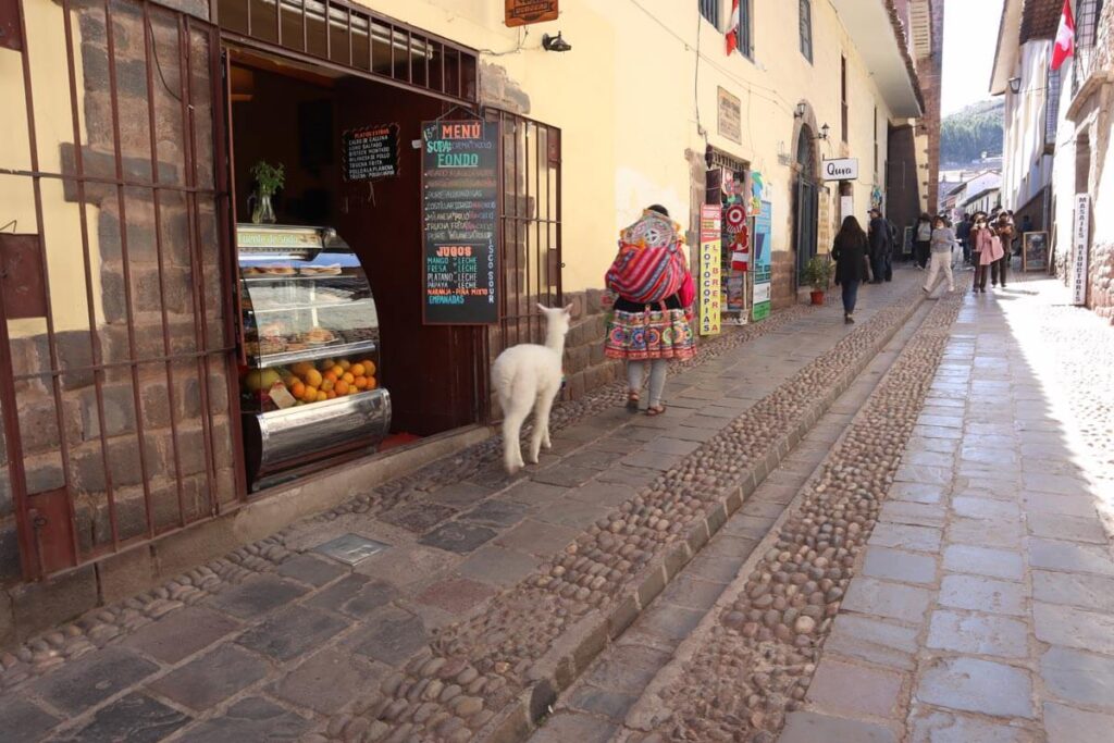 Vrouw met Alpaca in Cuzco