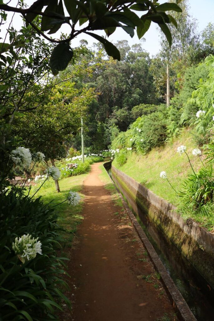 Levada da Ribeira da Janela - levada