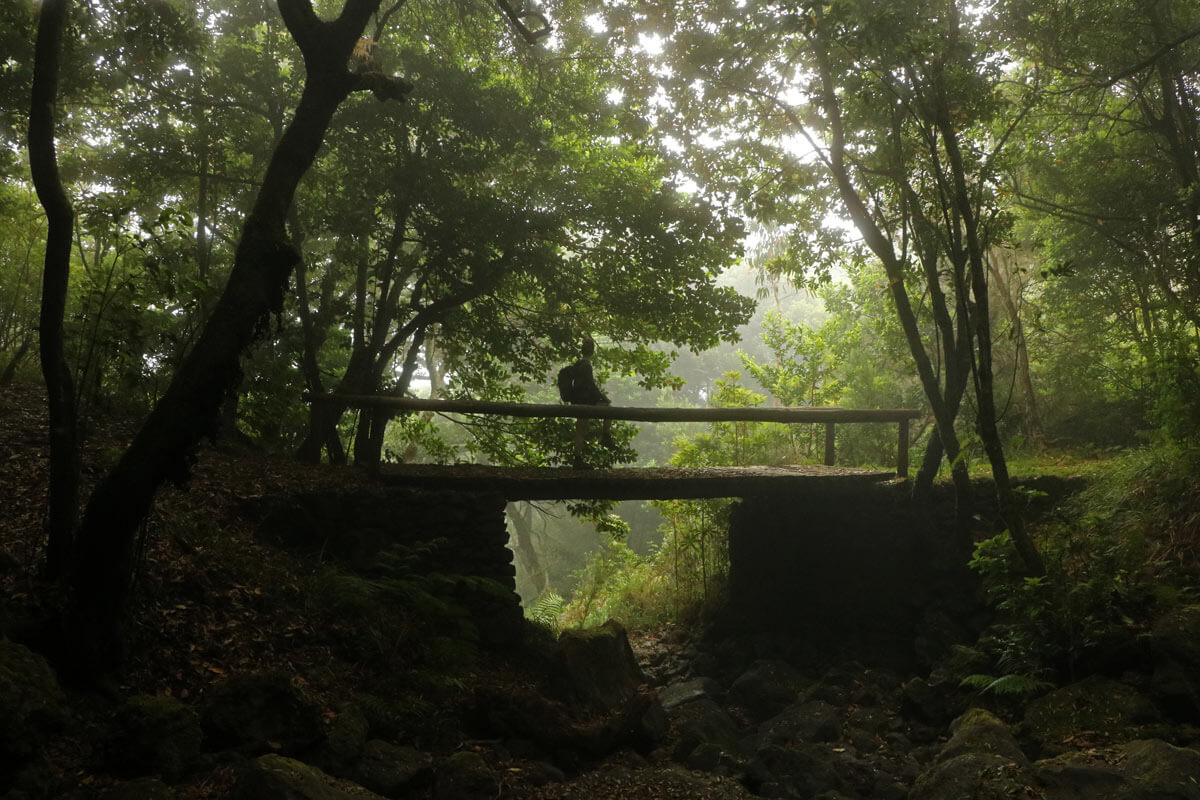 Ribeira da Janela brug