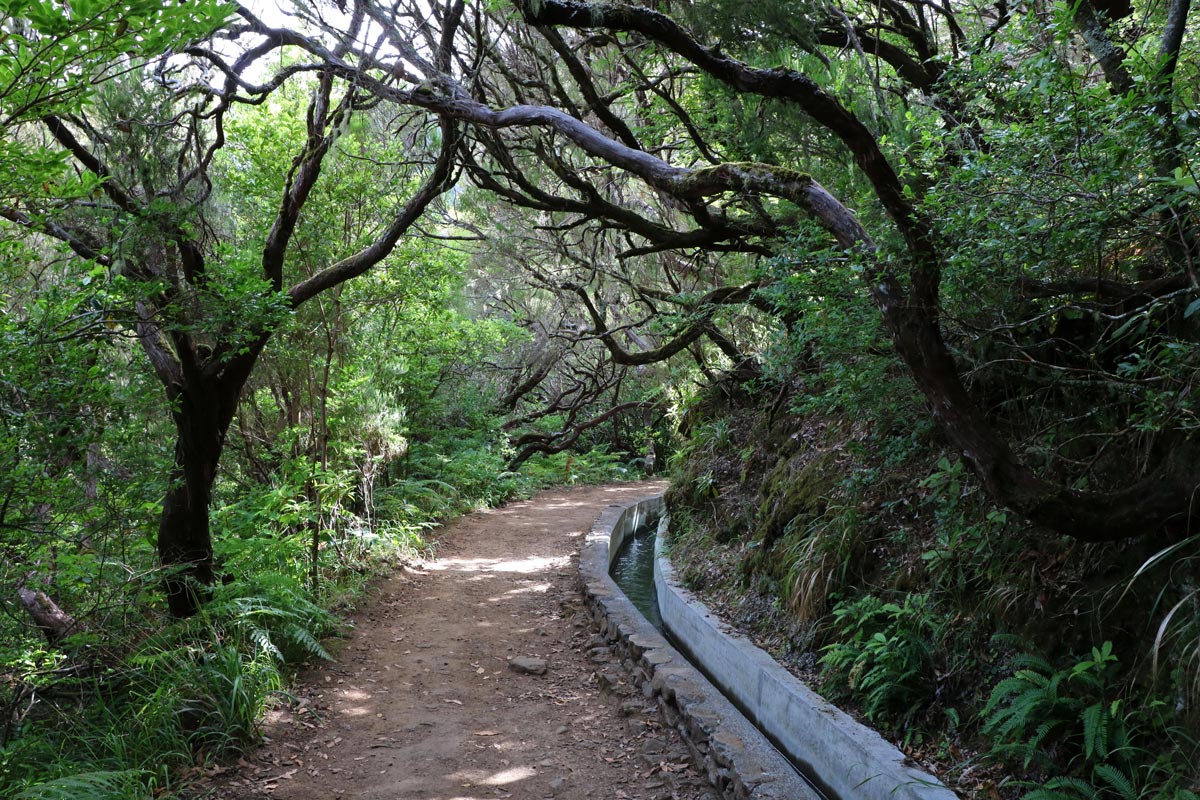 Levada do Risco