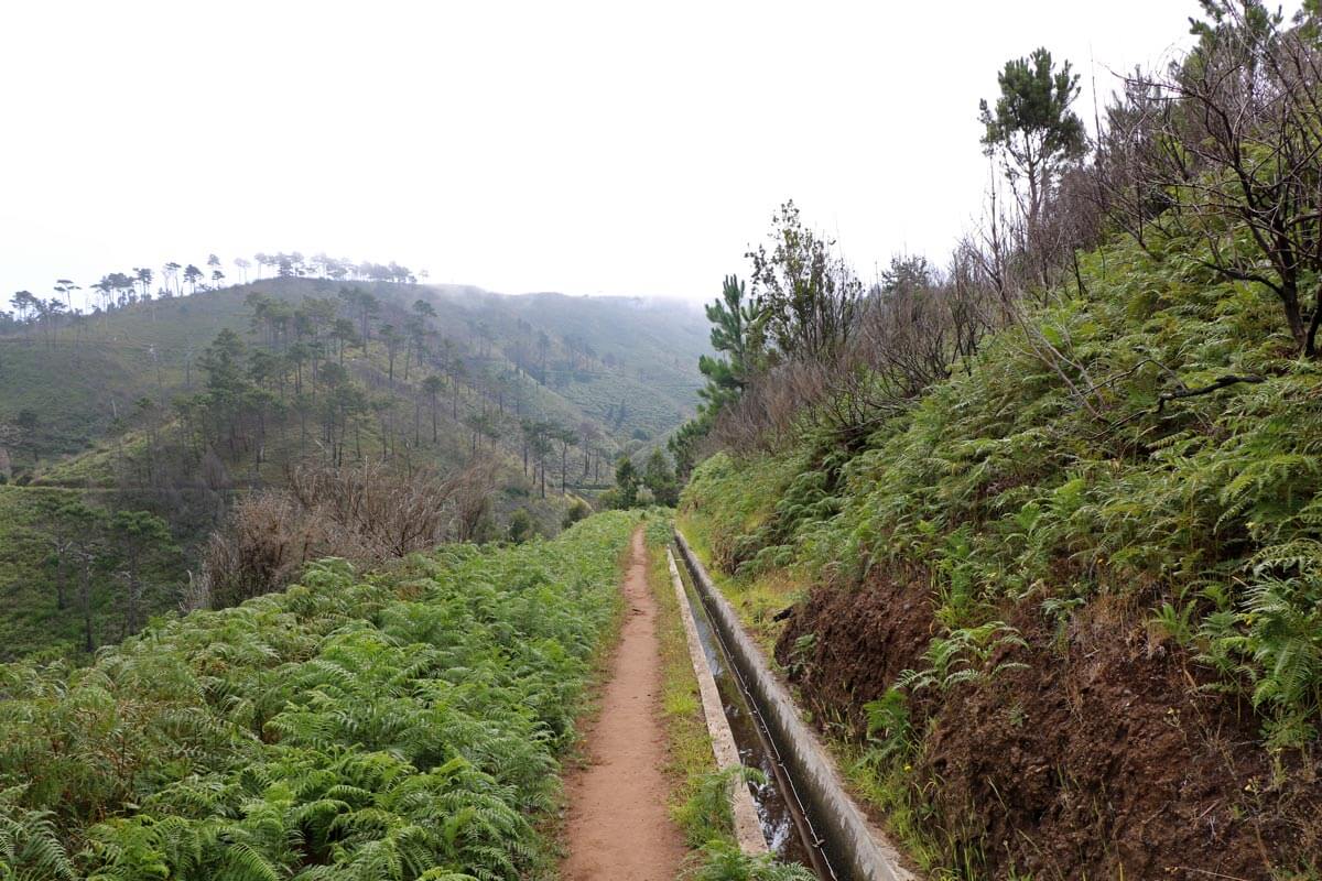 Pedregal levada