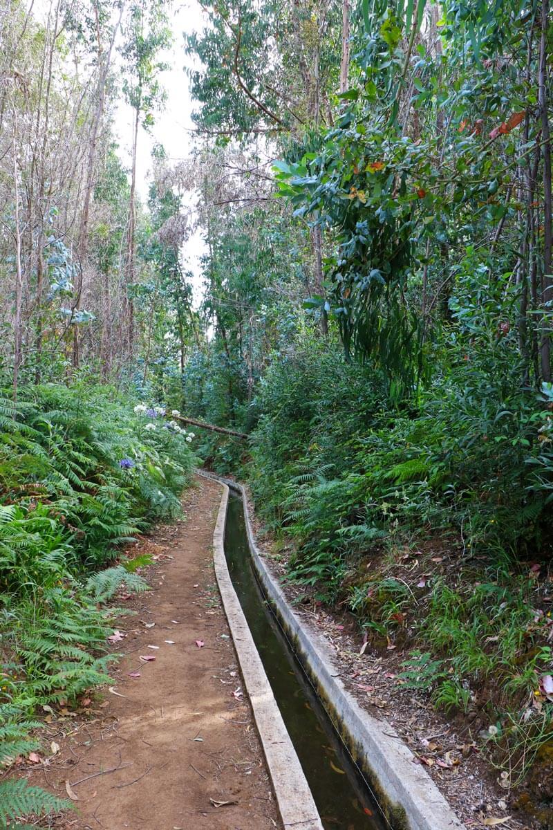 Pedregal levada