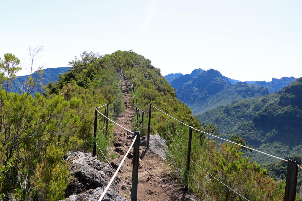 Bergrug Caminho do pinaculo e folhadal Madeira