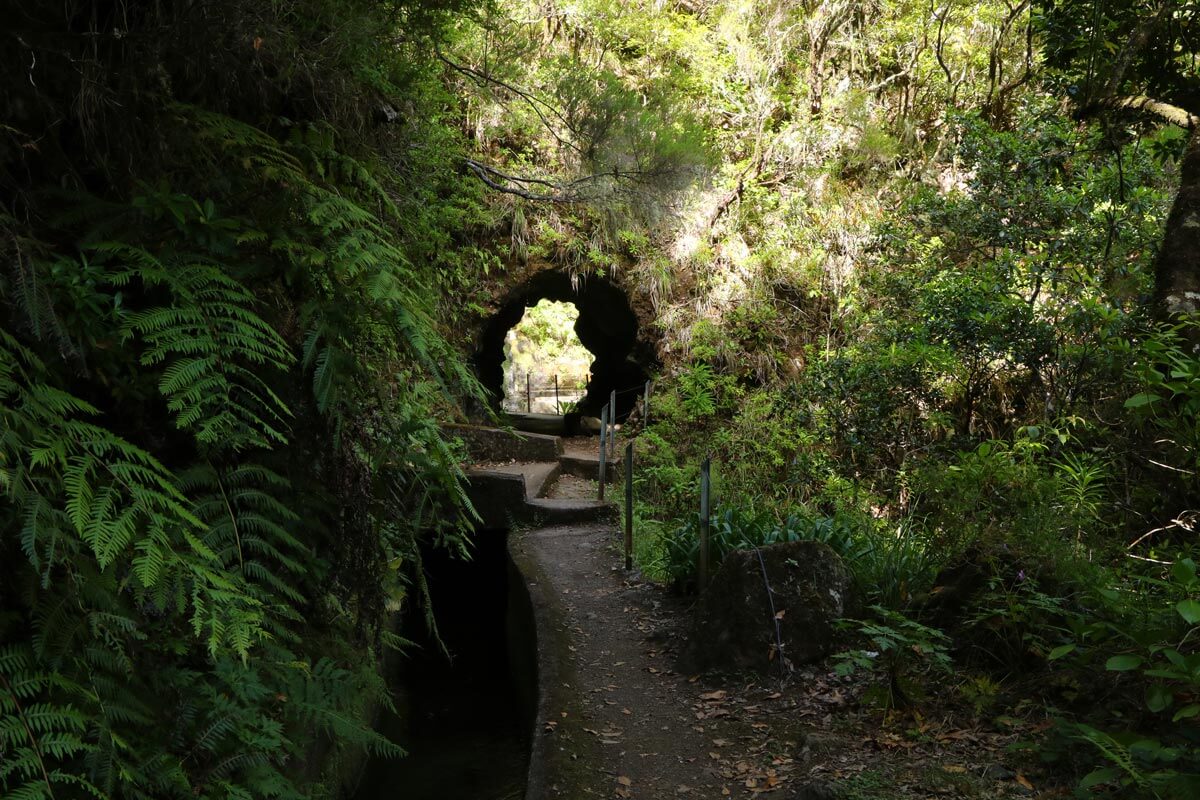 Tunnel PR 17 Madeira