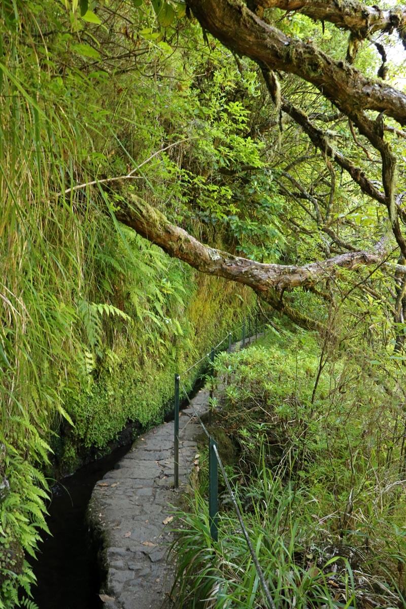 Levada do Caldeirão Verde