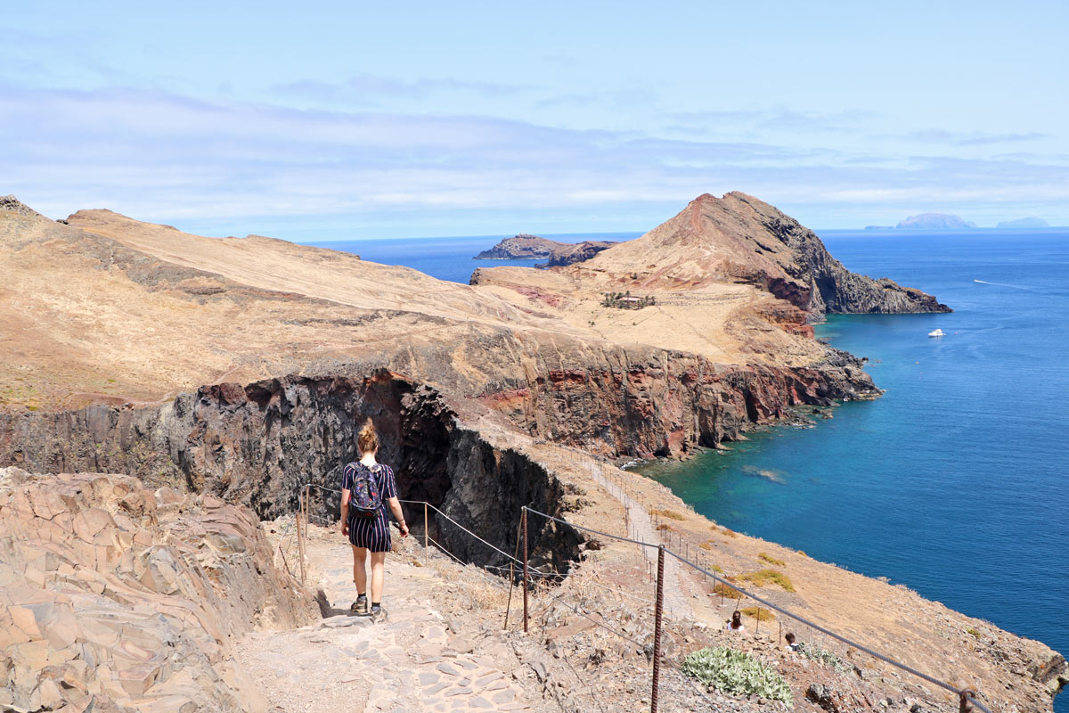 Dragon's tail Madeira