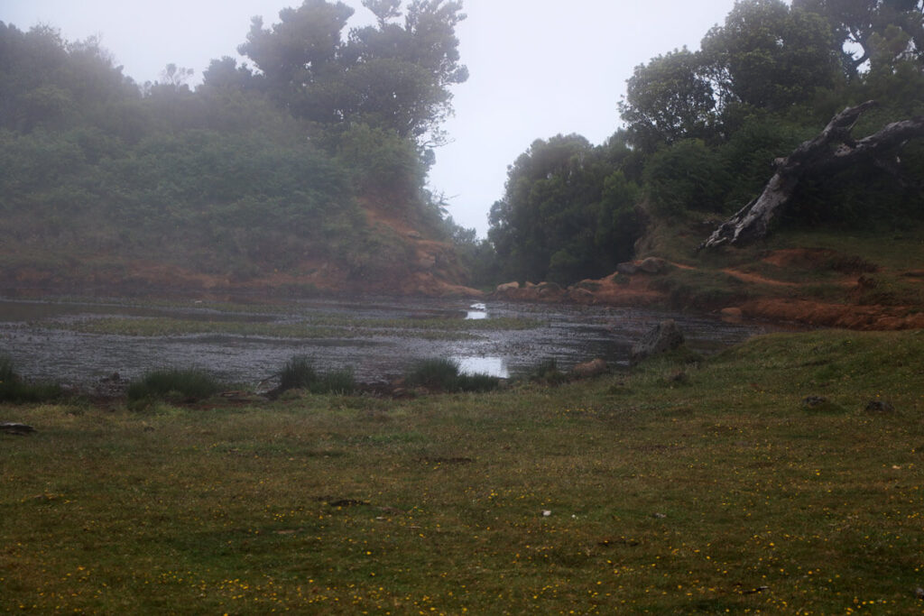 Fanal Pond