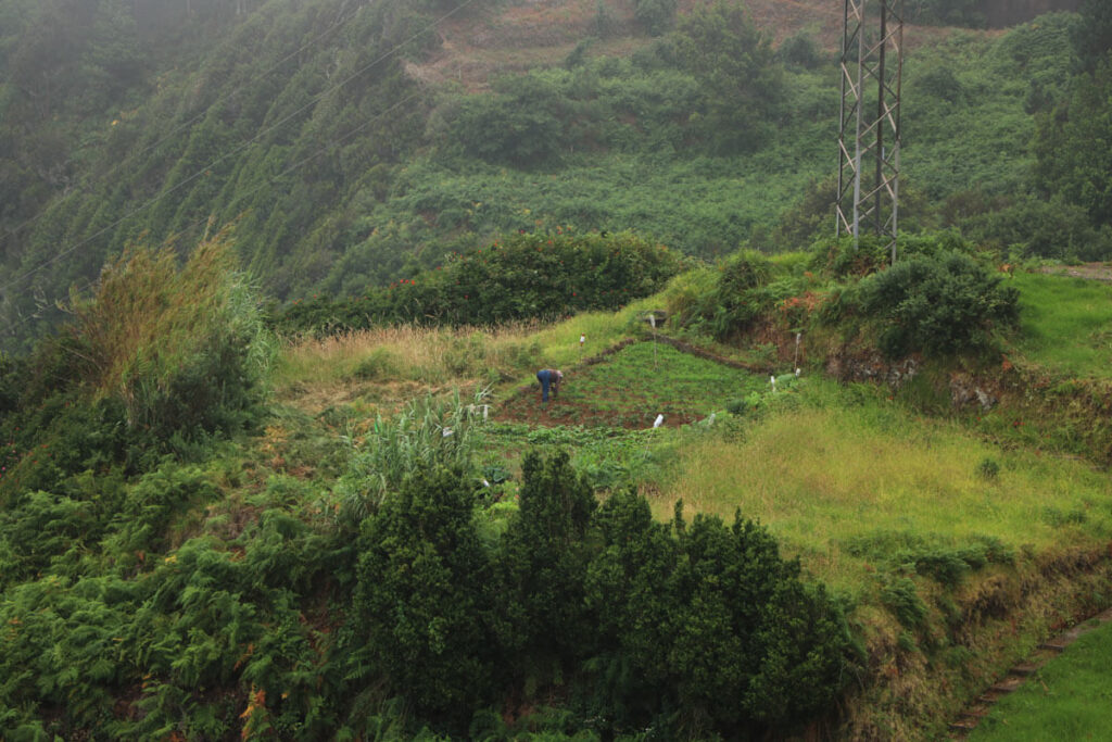 Boerin aan het werk op Madeira