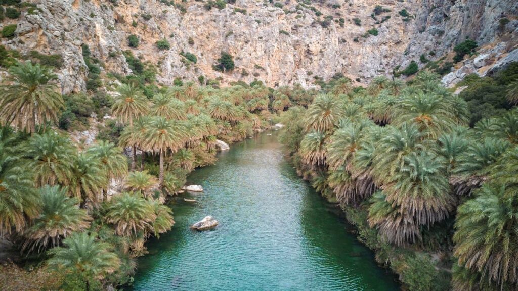 Palmbomen aan een riviertje bij Preveli strand