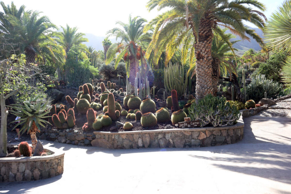 Ingang Cactualdea Park