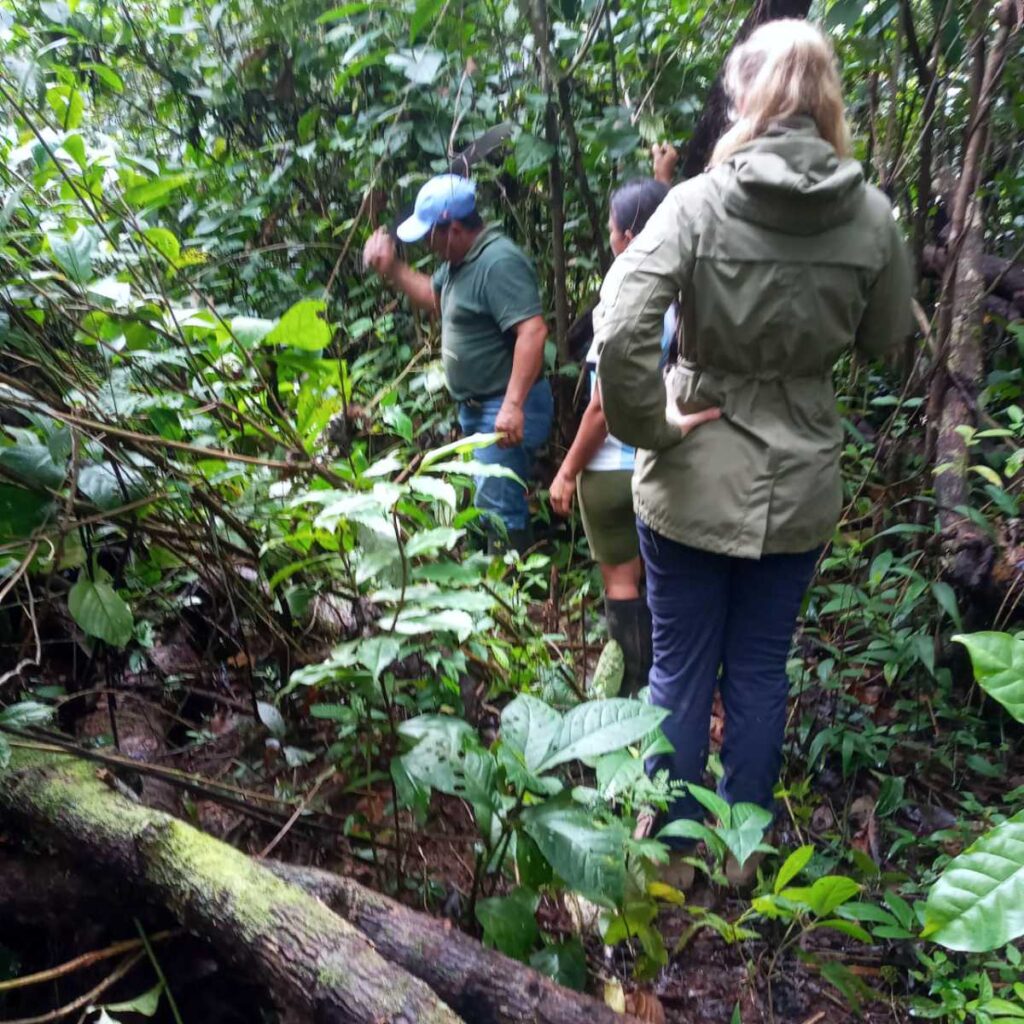 Veldwerk in de jungle van Peru